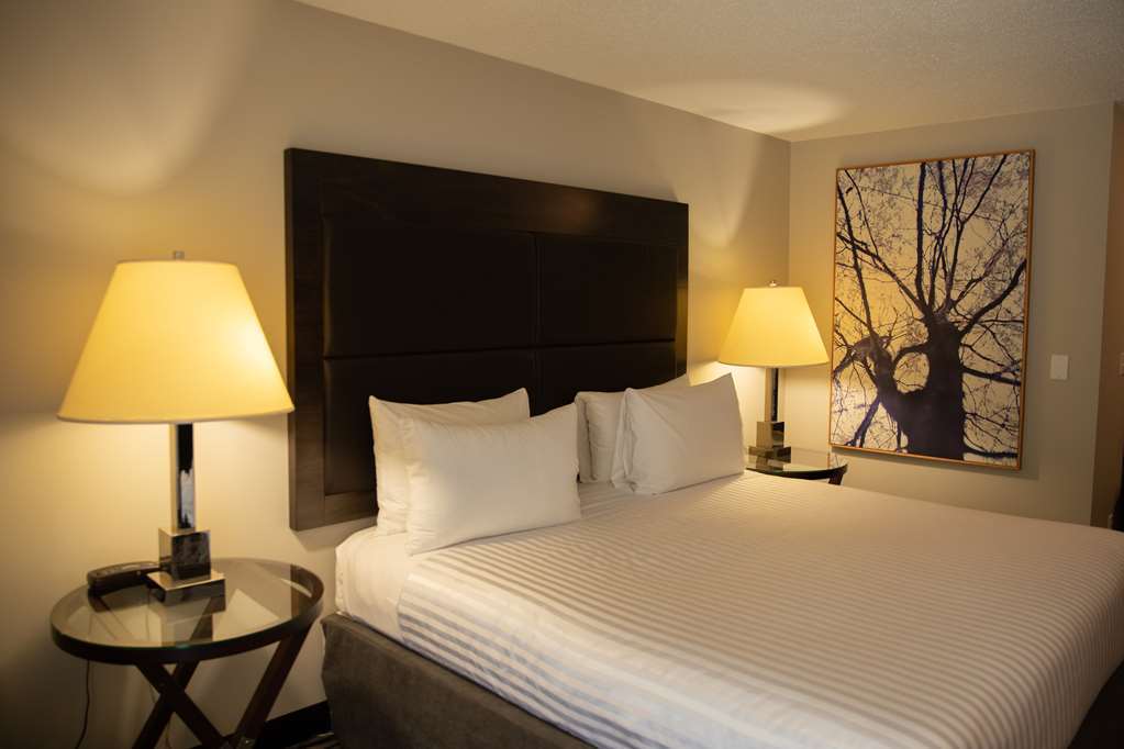 Surestay Hotel By Best Western Castlegar Rum bild